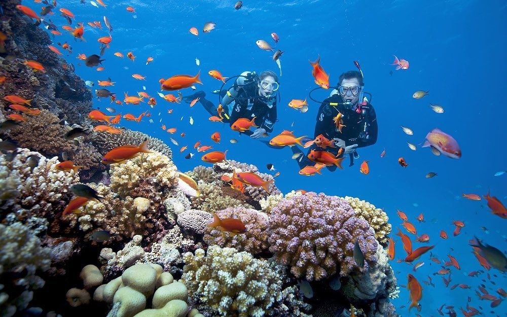 Tour Cù Lao Chàm Có Lặn Biển
