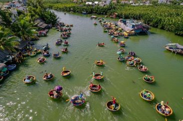Rừng dừa Bảy Mẫu