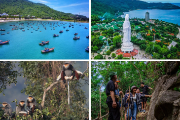 Sơn Trà nổi bật với cảnh quan thiên nhiên, biển xanh và hệ sinh thái rừng nguyên sinh - du lịch đà nẵng nên ở khu vực nào