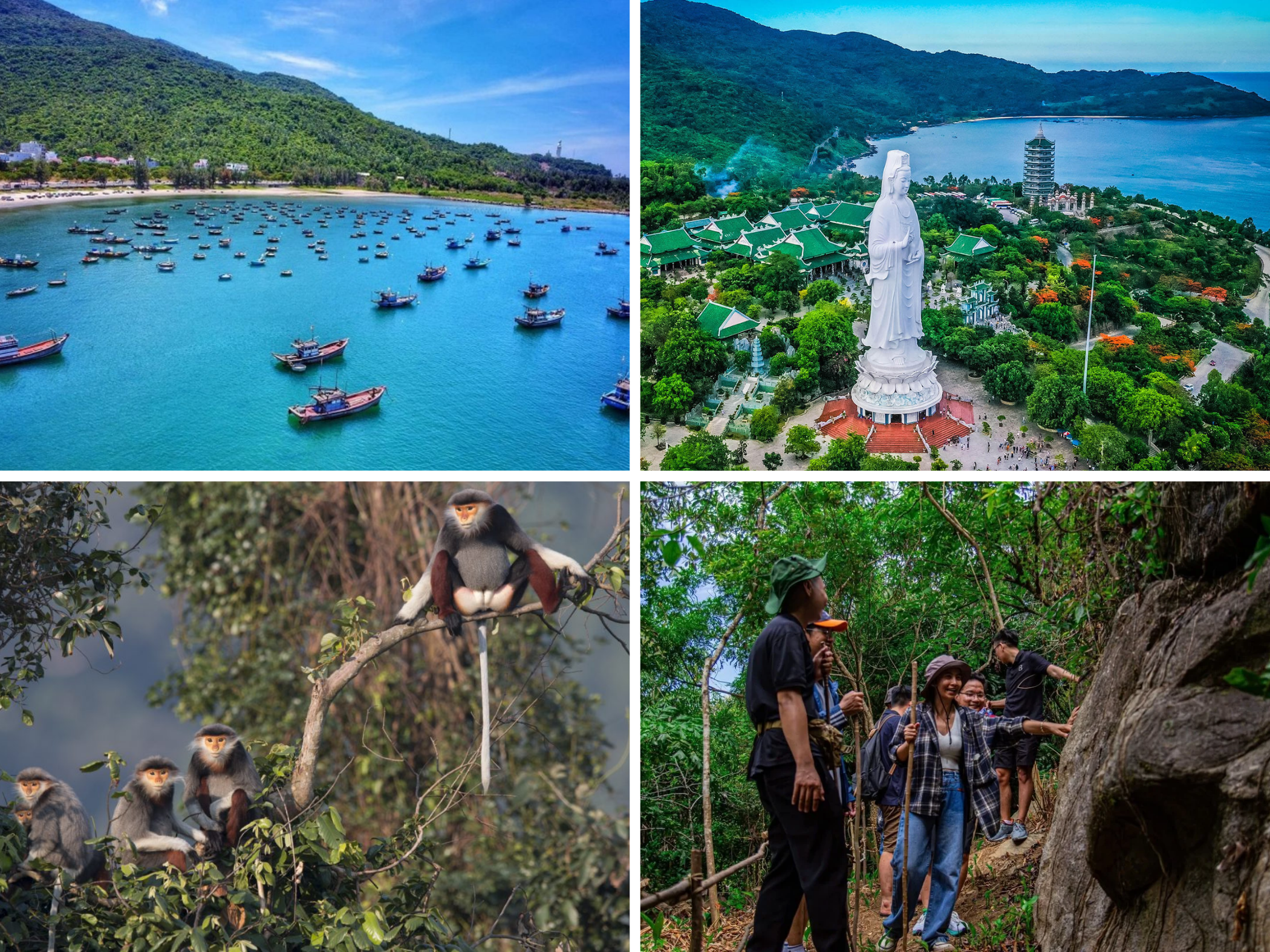 Sơn Trà nổi bật với cảnh quan thiên nhiên, biển xanh và hệ sinh thái rừng nguyên sinh - du lịch đà nẵng nên ở khu vực nào