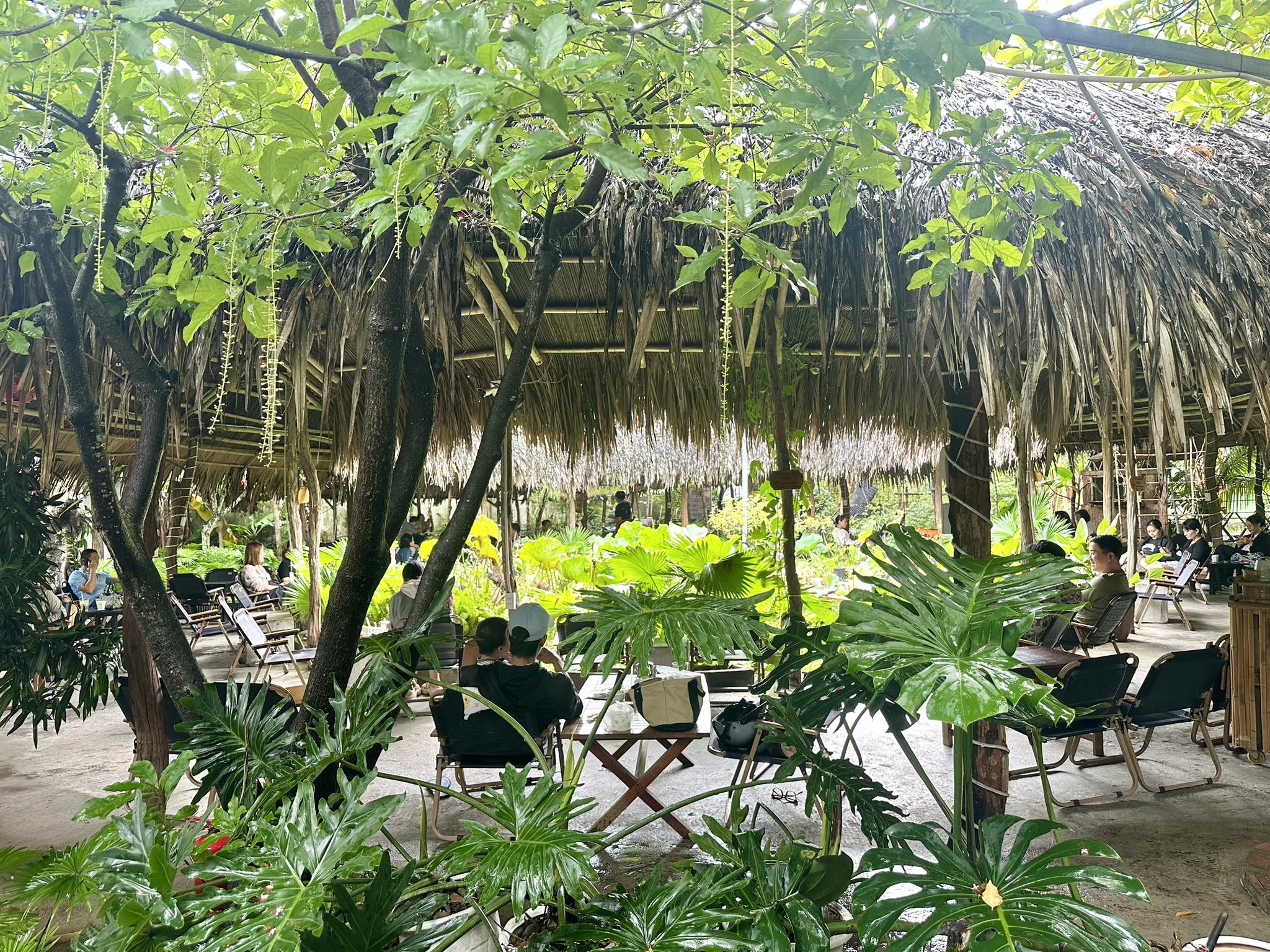 Top 30 quán cà phê đẹp ở Đà Nẵng: mỗi nơi một vibe, đi là mê