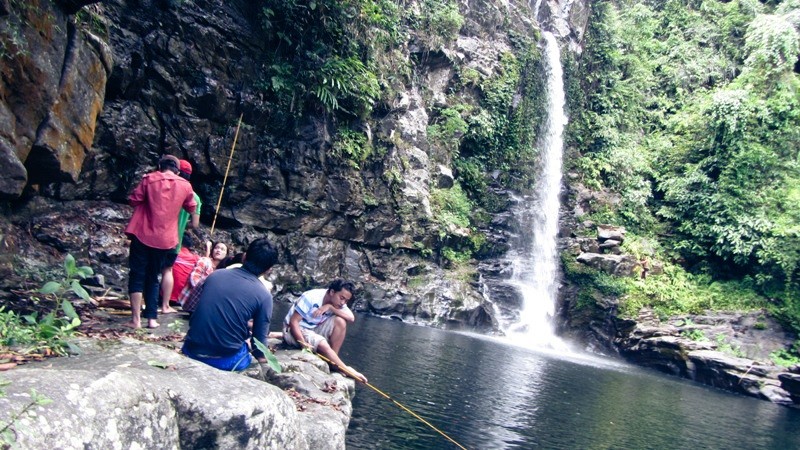 camping giữa rừng