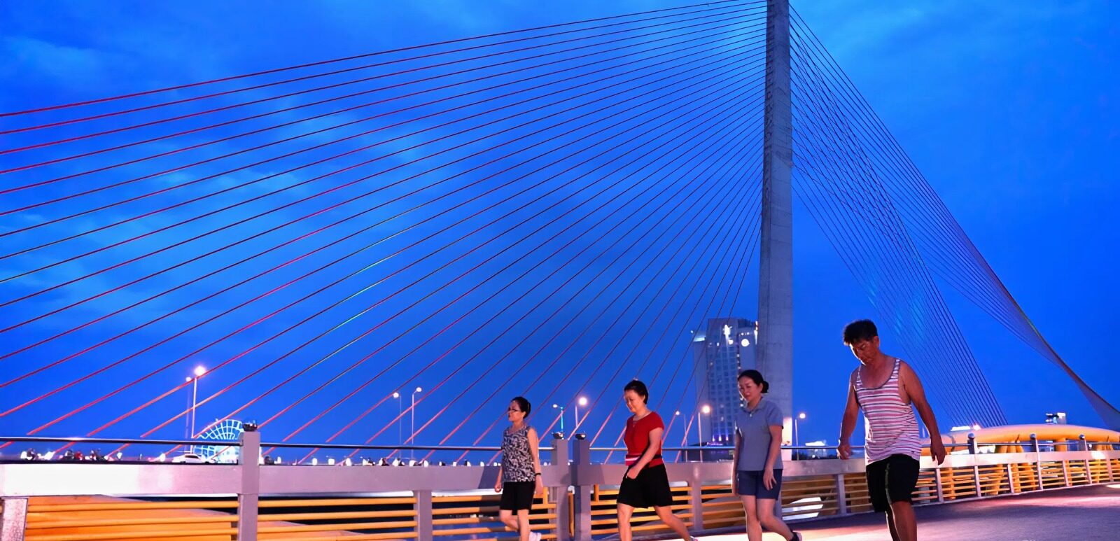 cầu Nguyễn Văn Trỗi