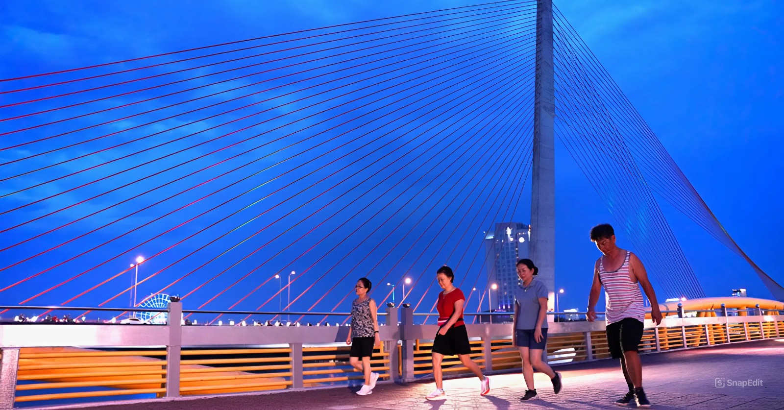 cầu Nguyễn Văn Trỗi