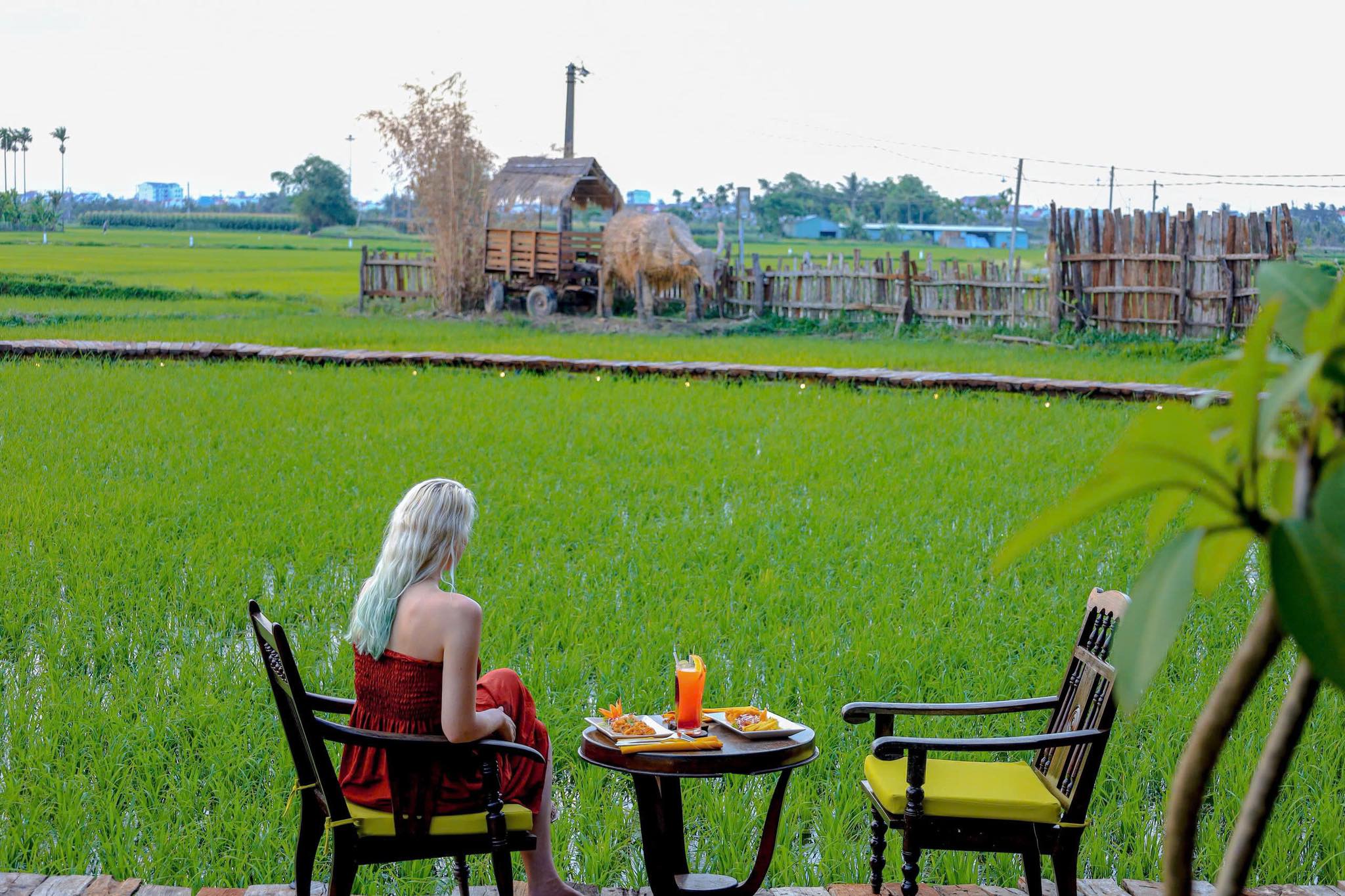 Quán Cafe Sân Vườn Đẹp Ở Hội An