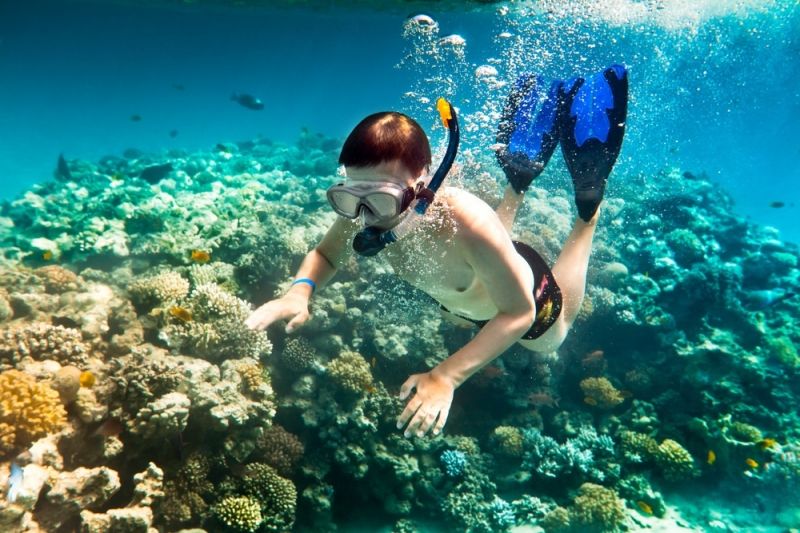 Lặn ngắm san hô Sơn Trà và Cù Lao Chàm