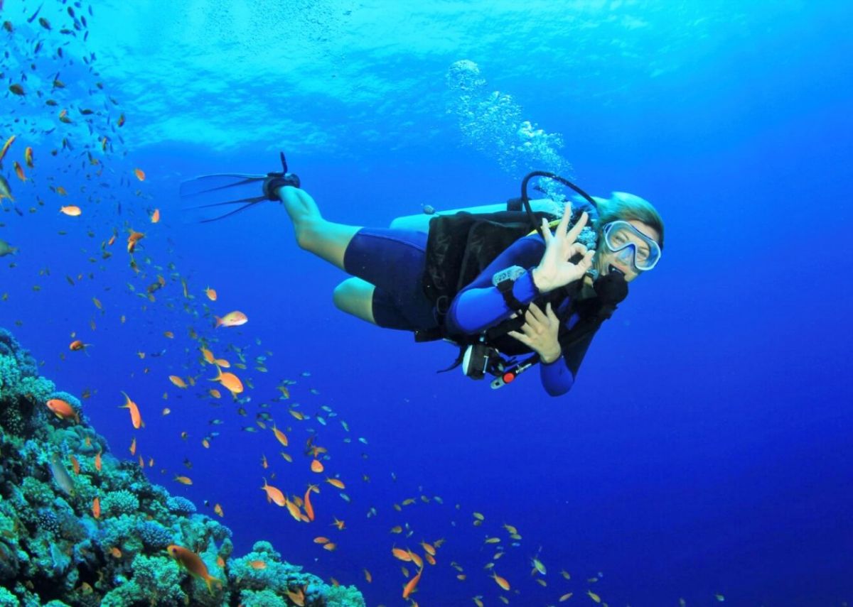 Du khách trải nghiệm Scuba diving ngắm san hô