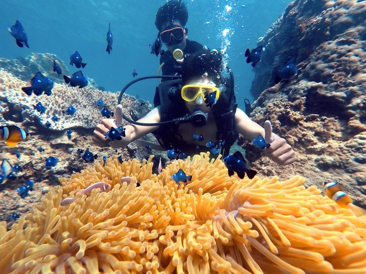 Tour Cù Lao Chàm Có Lặn Biển 